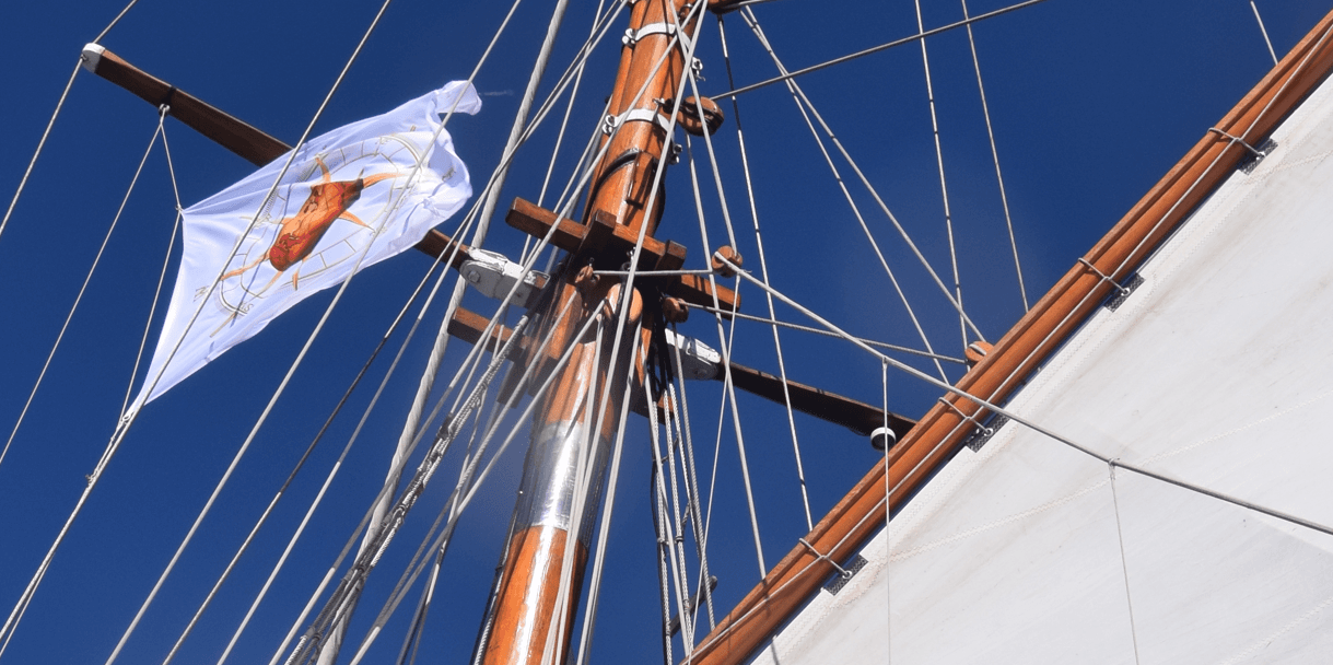 Bateau Loyal Team